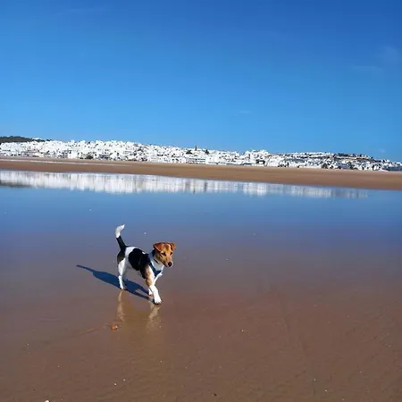 Casa El Cuartel With Private Seaview Rooftop Dom wakacyjny