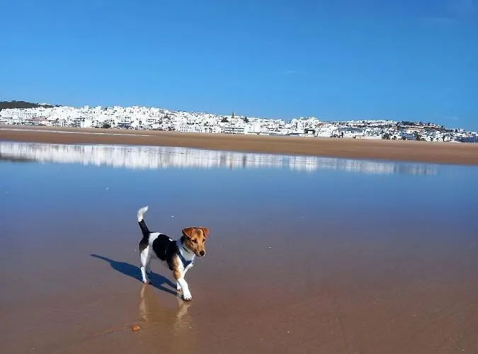 Casa El Cuartel With Private Seaview Rooftop בית נופש