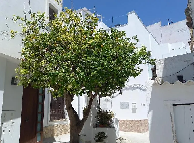 Casa El Cuartel With Private Seaview Rooftop קוניל דה לה פרונטרה